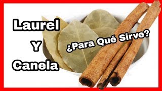 Canela Con Laurel ¿Para Qué Sirve Este Te Propiedades Del Laurel Con Canela [upl. by Akived]