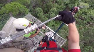 MT Tamborine Treetop Challenge  Canyon Flyer [upl. by Nanine]