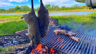 Caza y cocina de RATAS ASADAS al carbón  Caceria con RESORTERA [upl. by Pernas]