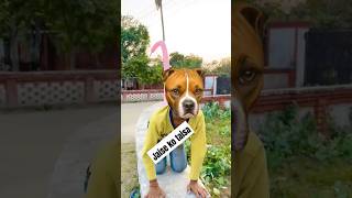 Jaise ko taisa doge ne sabak sikhayalike comedy subscribe youtube short tr2world [upl. by Einnahpets]