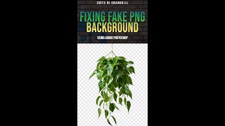 Fixing Fake PNG Background Adobe Photoshop Tutorial [upl. by Eerhs]