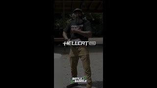 Battle of the Barrels Hellcat Pro vs Sig Fuse [upl. by Atinehs74]