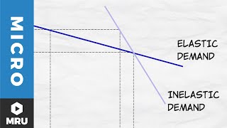 Elasticity of Demand [upl. by Burdett167]