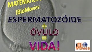 Espermatozoide  Óvulo  Vida  iBiomovies [upl. by Malsi153]