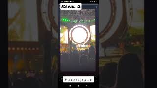 Karol G  Pineapple en vivo Medellin [upl. by Stewardson]