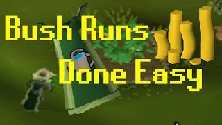 OSRS How To Do Bush Runs Fast and Easy [upl. by Hellman]