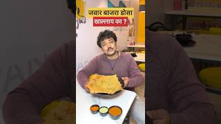 तमिळ फूड😍 pune punekar punefood puneblogger trendingvideo marathividoes youtubeshorts [upl. by Eerazed]