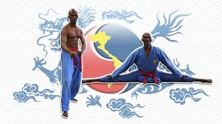 TRAILER  quotL’ESSENTIEL DU VOVINAM VIETVODAOquot en vente dès maintenant [upl. by Hnim35]