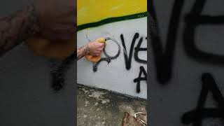 Anti Graffiti Shield Plus Graffiti Removal [upl. by Ashford247]