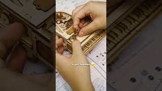 Build a ROKR Piano Music Box at the end of the summer vacation [upl. by Auqemahs]