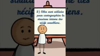 Question en biologie 📢  Ondes sismiques shorts video reels palestine viralvideo biologie [upl. by Dnalra]