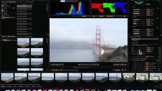 Redcine X Pro Tutorial Part 0  The Basics [upl. by Auka544]