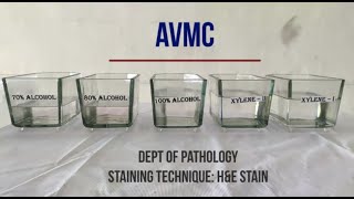 Hematoxylin amp Eosin Staining Procedure Principle with Video Lecture [upl. by Lauri256]