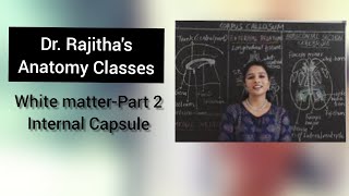 Anatomy of Internal Capsule by Dr Rajitha Vanga [upl. by Cesaro]