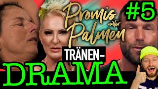 Promis unter Palmen MOBBING von Carina Yotta amp Matthias Nick is back Folge 5 [upl. by Llevel558]