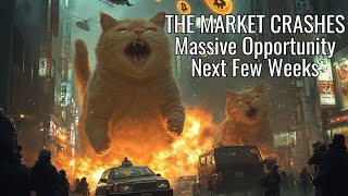 The Daily Update  THE MARKET CRASHES Massive Opportunity Next Few Weeks [upl. by Ybrek571]