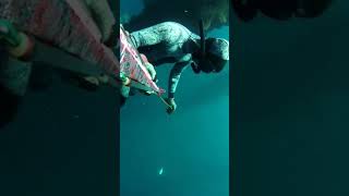 Daming isda spearfishingphilipines fishing keacspearfishing maubanquezon [upl. by Ennahoj]