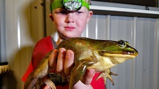 Catch and Cook FROGS CRAW FISH amp CATFISH [upl. by Elockin]