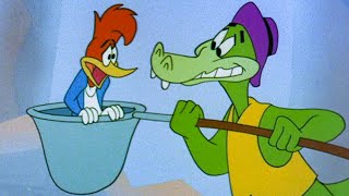 Woodpecker vs Alligator vs Crocodile  25 Hours of Classic Episodes of Woody Woodpecker [upl. by Rofotsirk221]