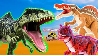 Huge Jurassic World Collection TREX Stegosaurus Sinoceratops Giant Spinosaurus amp More [upl. by Macmillan700]