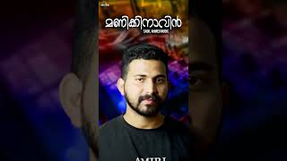 manikkinavin Sadil Ahmed Music l Malayalam Film Song Mashup l Cover Superhits Movie Songs [upl. by Hairahs]