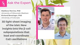 Ask the Expert Matthew Merrins PhD amp Richard Benninger PhD 3D lightsheet imaging of the islet [upl. by Ahsimot]