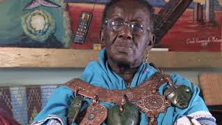 Credo Mutwa Initiation Story [upl. by Hallutama]