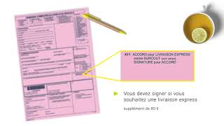 Comment compléter votre demande dimmatriculation document rose [upl. by Arhas]