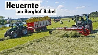 Heuernte am Berghof Babel mit Kammschwader und Doppelmessermähwerk von BB Umwelttechnik [upl. by Marillin]