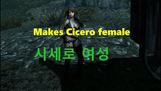 Makes Cicero female skyrim mod 시세로 여성으로 변경 [upl. by Eldnek744]