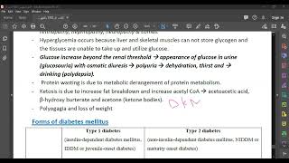 ENDOCRINE PORTION OF THE PANCREAS [upl. by Tshombe]