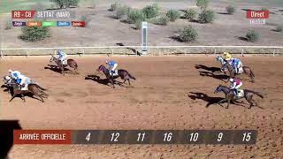 Live Hippodrome « SETTAT »  Courses du « 18102023 » [upl. by Badger]