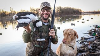 Duck Hunting a Big Watershed with 7 Different Species INSANE MIXED BAG [upl. by Baynebridge52]