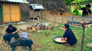 Daily life of a guy named DAU Livestock Spray foliar fertilizer [upl. by Ainerbas214]