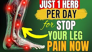 Discover 18 Super Herbs to Enhance Blood Circulation in Your Legs not what you think [upl. by Ailedua]