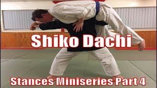 4 Applications of Shiko Dachi  Stances Miniseries Part 4 [upl. by Calvano]