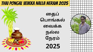 தைப்பொங்கல் வைக்க உகந்த நேரம் 2025  Pongal 2025 Time  Pongal 2025 Date  Digital Naveen [upl. by Akiemaj]