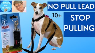 No Pull Dog Lead Halti Double Ended Lead [upl. by Cleti589]