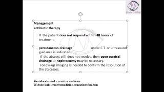 Lec 1 Perinephric Abscess [upl. by Orravan]