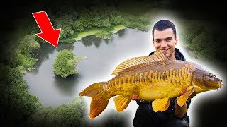 How To Approach a New Water And Catch More Carp [upl. by Flosi]