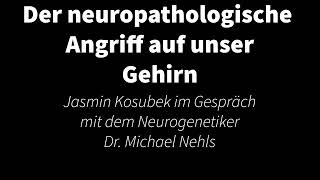 Der neuropathologische Angriff auf unser Gehirn [upl. by Viquelia690]