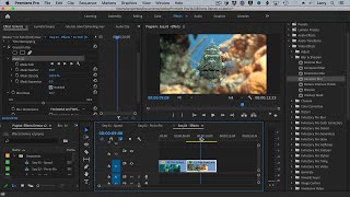 Premiere Pro Add Modify Mask and Delete Effects [upl. by Dry]