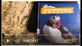 Puffins… and educational nonfiction read aloud book for kids [upl. by Ecnaled]