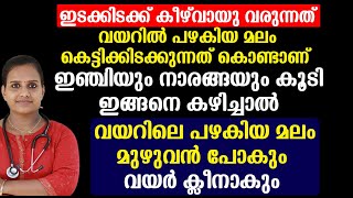 ഇഞ്ചിയും നാരങ്ങയും കൂടി ഇങ്ങനെ കഴിച്ചാൽ വയറിലെ പഴകിയ മലം മുഴുവൻ പോകും വയർ ക്ലീനാകും  Healthy Tips [upl. by Eillen767]