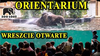 Armagedon w Łódzkim ZOO  Tłumy Przy Kąpieli Słoni  ORIENTARIUM Wreszcie Otwarte [upl. by Yobybab]