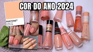 Mais de 20 Inspirações de Unhas e Esmaltes com a COR DO ANO 2024 PEACH FUZZ [upl. by Haroun]