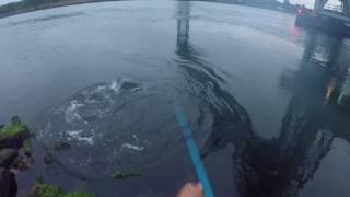 27lb Striped Bass Inhales a Jig at the Cape Cod Canal  My New Canal RodReel [upl. by Trinity]