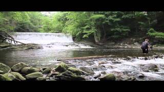 Canon Rebel T3 EOS 1100D Video Test [upl. by Humpage]