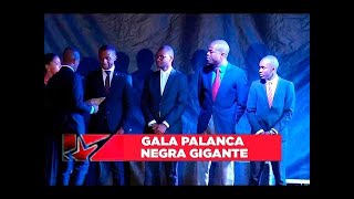 GALA PALANCA NEGRA GIGANTE [upl. by Thurmond254]