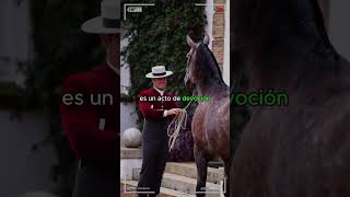 🔴Caballos PRE o Pura Raza Española 🔴 caballos DeCaballos [upl. by Thilda]